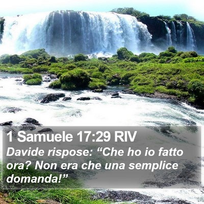 1 Samuele 17:29 RIV Bible Verse Image