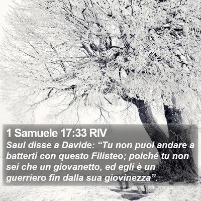 1 Samuele 17:33 RIV Bible Verse Image