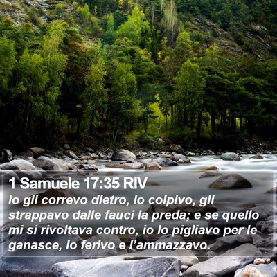 1 Samuele 17:35 RIV Bible Verse Image