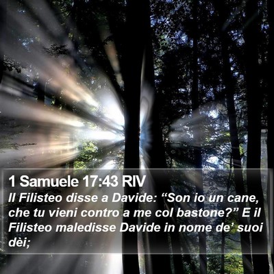 1 Samuele 17:43 RIV Bible Verse Image