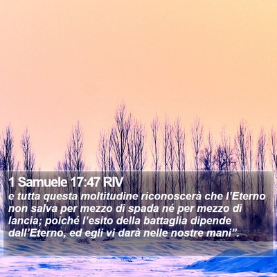 1 Samuele 17:47 RIV Bible Verse Image