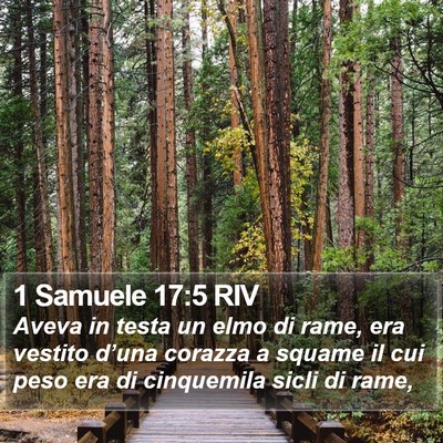 1 Samuele 17:5 RIV Bible Verse Image