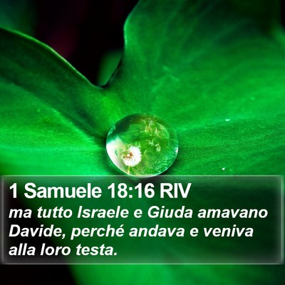 1 Samuele 18:16 RIV Bible Verse Image