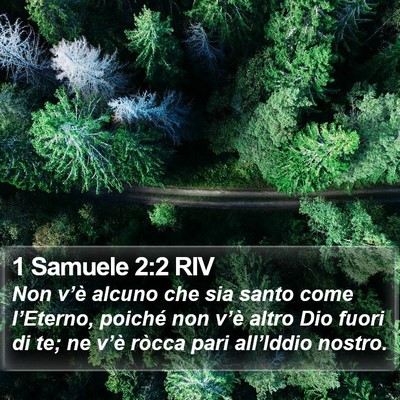 1 Samuele 2:2 RIV Bible Verse Image