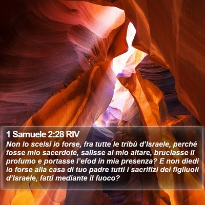 1 Samuele 2:28 RIV Bible Verse Image