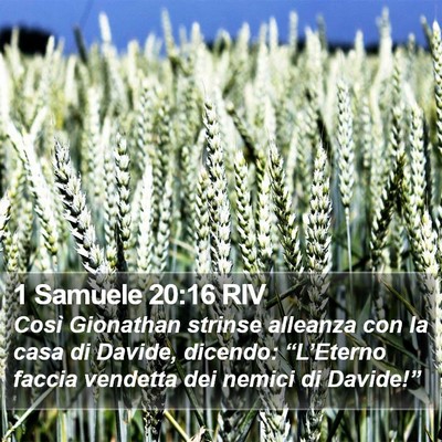 1 Samuele 20:16 RIV Bible Verse Image