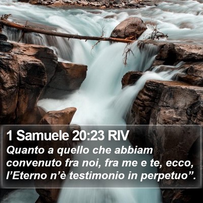 1 Samuele 20:23 RIV Bible Verse Image