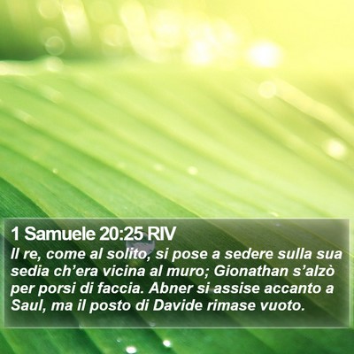 1 Samuele 20:25 RIV Bible Verse Image