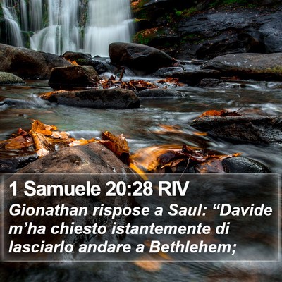 1 Samuele 20:28 RIV Bible Verse Image