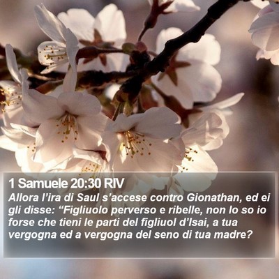 1 Samuele 20:30 RIV Bible Verse Image