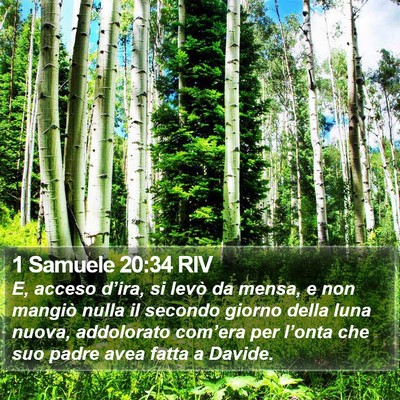 1 Samuele 20:34 RIV Bible Verse Image