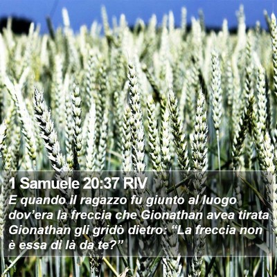 1 Samuele 20:37 RIV Bible Verse Image