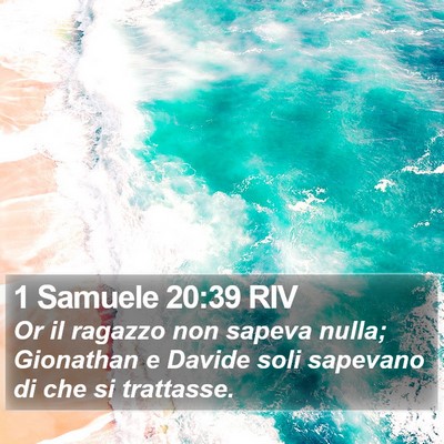 1 Samuele 20:39 RIV Bible Verse Image