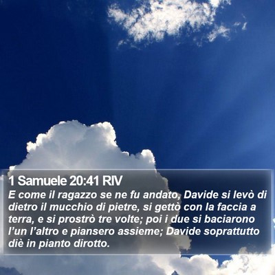 1 Samuele 20:41 RIV Bible Verse Image