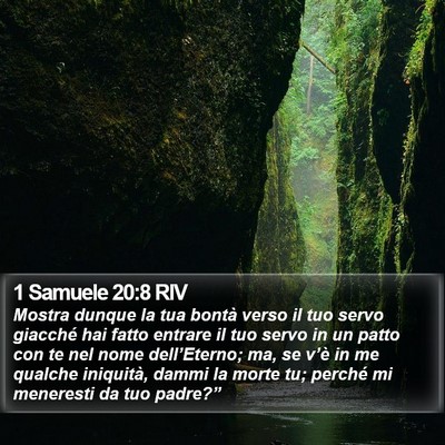 1 Samuele 20:8 RIV Bible Verse Image