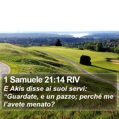 1 Samuele 21:14 RIV Bible Verse Image