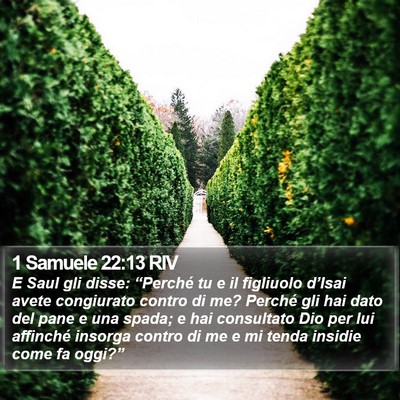 1 Samuele 22:13 RIV Bible Verse Image
