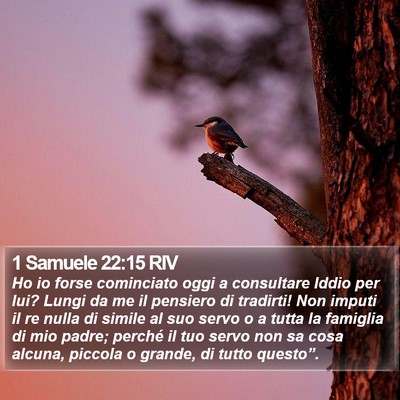 1 Samuele 22:15 RIV Bible Verse Image