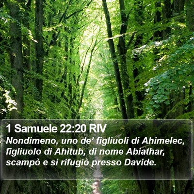1 Samuele 22:20 RIV Bible Verse Image