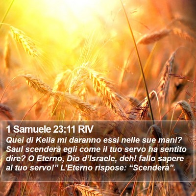 1 Samuele 23:11 RIV Bible Verse Image