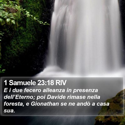 1 Samuele 23:18 RIV Bible Verse Image