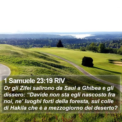 1 Samuele 23:19 RIV Bible Verse Image