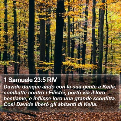 1 Samuele 23:5 RIV Bible Verse Image