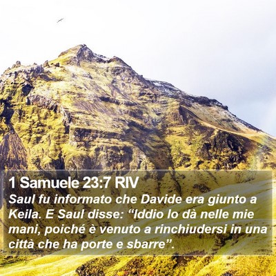 1 Samuele 23:7 RIV Bible Verse Image