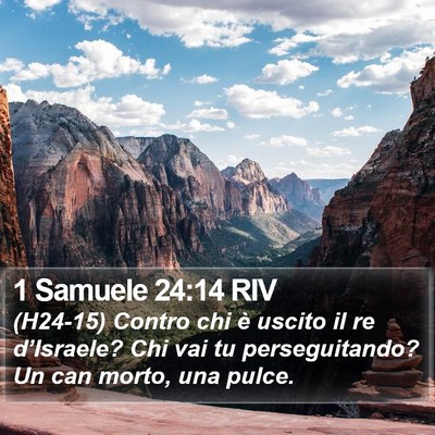 1 Samuele 24:14 RIV Bible Verse Image