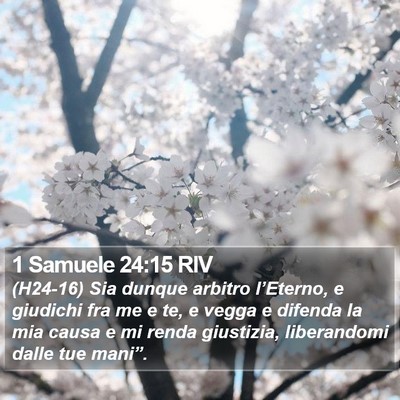 1 Samuele 24:15 RIV Bible Verse Image