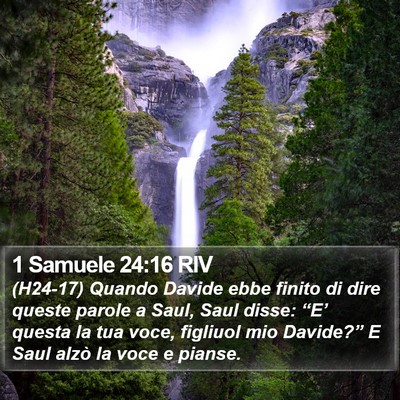 1 Samuele 24:16 RIV Bible Verse Image