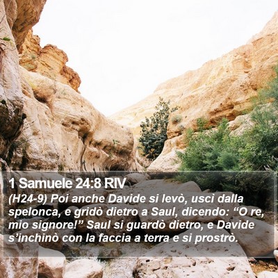 1 Samuele 24:8 RIV Bible Verse Image