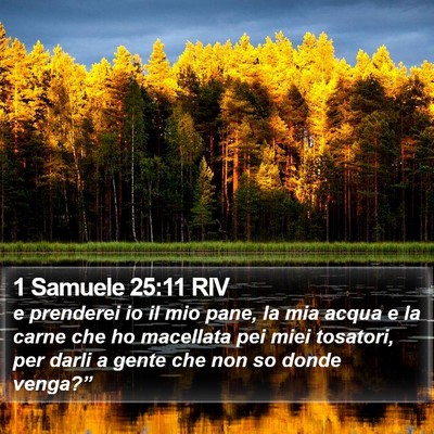 1 Samuele 25:11 RIV Bible Verse Image