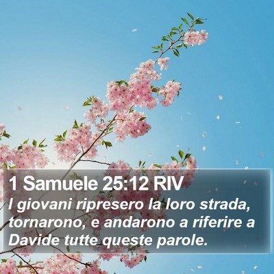1 Samuele 25:12 RIV Bible Verse Image
