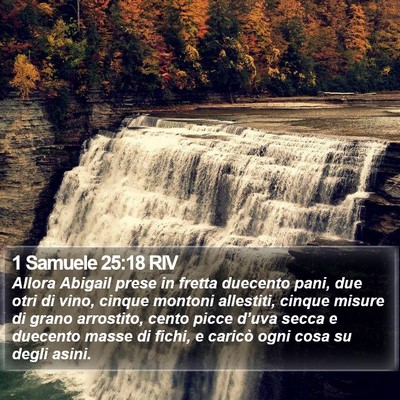 1 Samuele 25:18 RIV Bible Verse Image