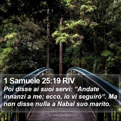 1 Samuele 25:19 RIV Bible Verse Image