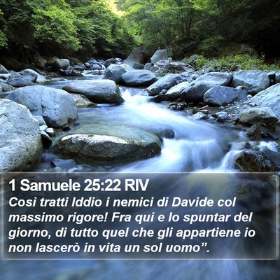 1 Samuele 25:22 RIV Bible Verse Image