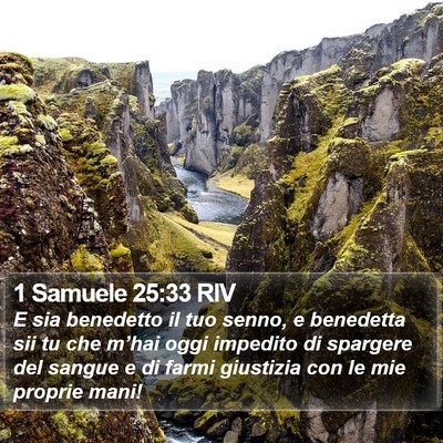 1 Samuele 25:33 RIV Bible Verse Image