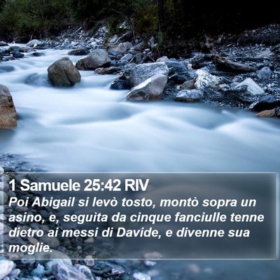1 Samuele 25:42 RIV Bible Verse Image
