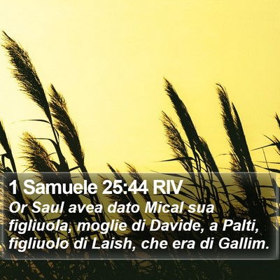 1 Samuele 25:44 RIV Bible Verse Image