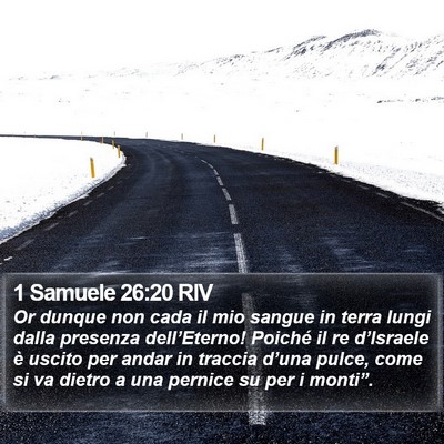 1 Samuele 26:20 RIV Bible Verse Image