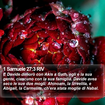 1 Samuele 27:3 RIV Bible Verse Image