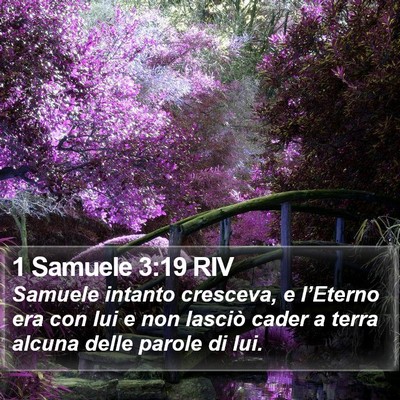 1 Samuele 3:19 RIV Bible Verse Image