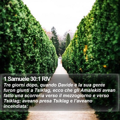 1 Samuele 30:1 RIV Bible Verse Image