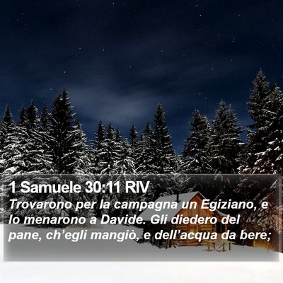 1 Samuele 30:11 RIV Bible Verse Image