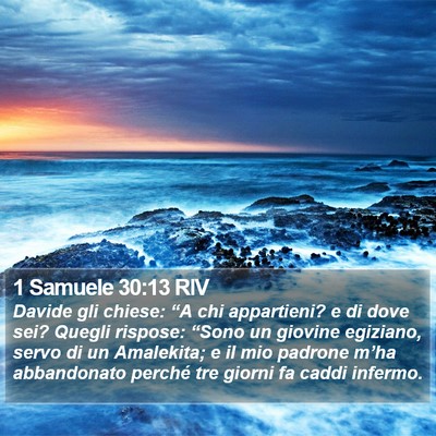 1 Samuele 30:13 RIV Bible Verse Image