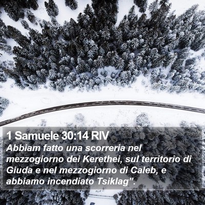 1 Samuele 30:14 RIV Bible Verse Image