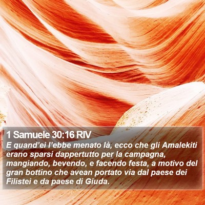 1 Samuele 30:16 RIV Bible Verse Image