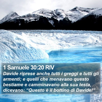 1 Samuele 30:20 RIV Bible Verse Image