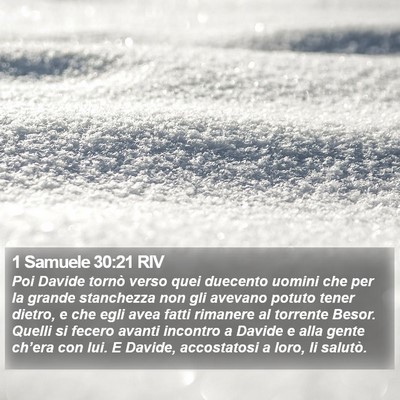 1 Samuele 30:21 RIV Bible Verse Image